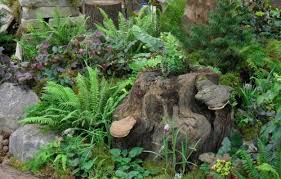 85 stumperies recycling wood and