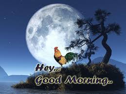 good morning wishes wallpapers
