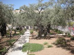 visit the garden of gethsemane holy