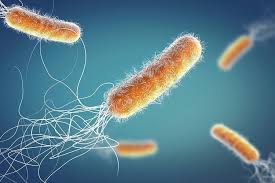 what is antibiotic resistance tecscience