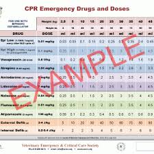 Veccs Cpr Emergency Drugs 22 X 27 Poster