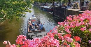 the hague city c cruise getyourguide