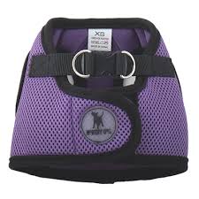 Worthy Dog Purple Sidekick Harness