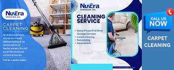 carpet cleaning services in elk grove