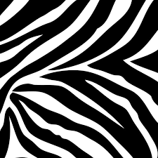 White Zebra Print Wallpaper Border