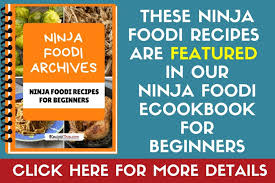 ninja foodi recipes for beginners