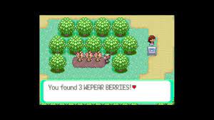 How to get Wepear Berry in Pokemon Emerald - YouTube