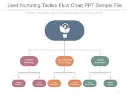 Lead Nurturing Tactics Flow Chart Ppt Sample File
