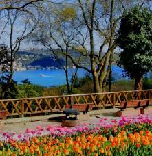 افضل اماكن للسياحة فى تركيا فى الربيع | سائح