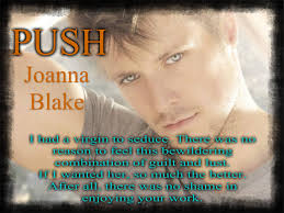 Promo Blitz HEAT PUSH by Joanna Blake Rave And Rant About Raunch