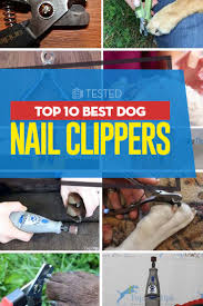 10 best dog nail clippers for home