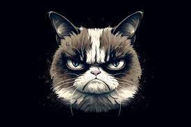 a grumpy cat with a black background