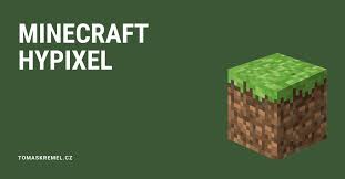 Solo hypixel skyblock 47 how i made 1 million coins overnight with pumpkins. How To Become A Millionaire In Hypixel Skyblock Tomas Kremel
