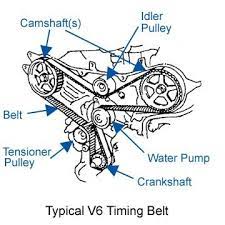 timing belts and water pumps