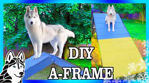 diy agility a frame for backyard