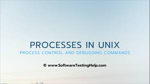 processes in unix process control and