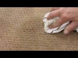 tips to clean blood out of carpet