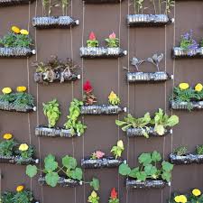 Vertical Gardening For Maximizing Space