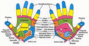 Reflexology Massage Hand Chart Come To Pressure Point