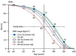 Blogorrhea Body Mass Index Vs Longevity Latest Findings