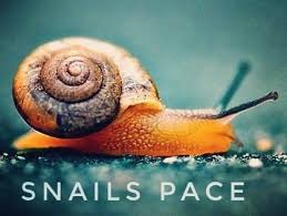 Do you feel like you are moving at a snails pace? . This morning my energy  levels are sluggish, … | Online business opportunities, Digital business,  Online business