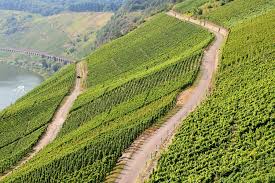Its more justified claim to fame, however. Why You Should Visit The Mosel Valley In Germany This Summer