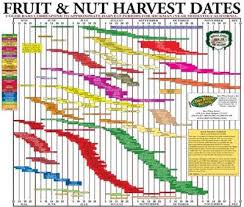 For Each Harvest Chart Send A Check For 5 00 Plus A Self