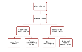 Tripm Organization Chart Gulf Medical University Ajman