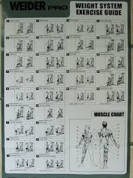 Weider Home Exercise Online Charts Collection