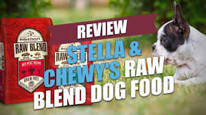 Stella Chewys Raw Blend Dog Food Review