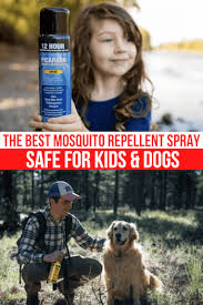 Best Mosquito Repellent Spray