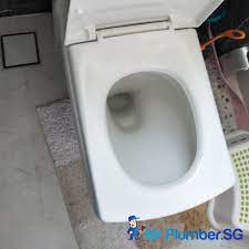 Toilet Seat Replacement Plumber
