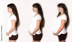 abdomen during pregnancy stock photo