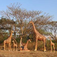 Giraffe 12ft Sculptures In Australia