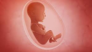 Saat perkembangan janin 5 bulan, bayi ibu sudah bisa mendengar. 3 Fase Perkembangan Janin Menurut Islam Bunda Perlu Tahu