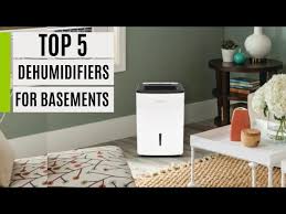 Best Dehumidifiers For Basements 2023