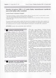 (PDF) Dianthus ferrugineus Mill. vs. D. guliae Janka: Nomenclatural ...