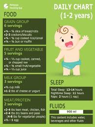 Image Result For 1 Year Old Daily Food Intake Baby Food
