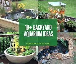 10+ Awesome Backyard Aquarium Ideas & Designs For 2022 gambar png