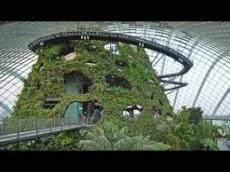 gardens by the bay cloud forest