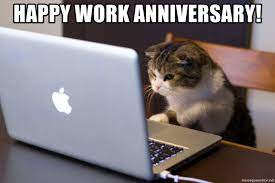 Let's face it, cats are the unofficial mascots of the internet. Happy Work Anniversary Computer Catz Meme Generator