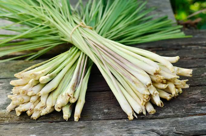 What is lemongrass?
