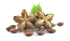 what are sacha inchi nuts nutrition