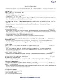 Lawyer Resume Samples  online resume writing service   