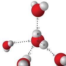 To begin drag the na sodium and cl chlorine atoms into the simulation area. Https Www Nms Org Portals 0 Docs Freelessons Chem Don T 20flip 20your 20lid Pdf