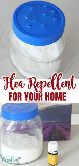 natural flea repellent for home easy