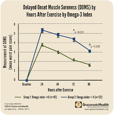 muscle soreness and pain after exercise