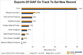 Chart Of Note Grains In All Forms Exports On Track To Set