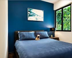 bold dark blue wall paint design live