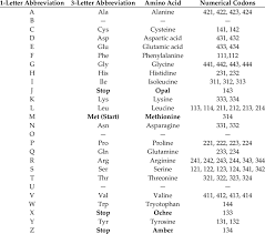 primary amino acids in the genetic code